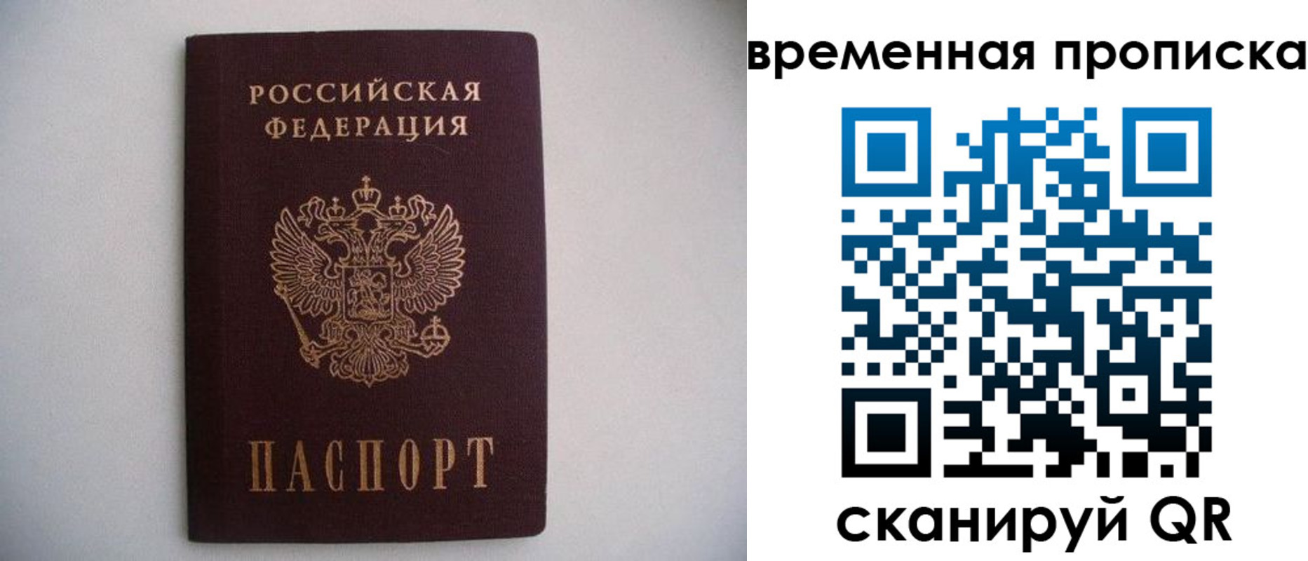 прописка гарантия в Долгопрудном