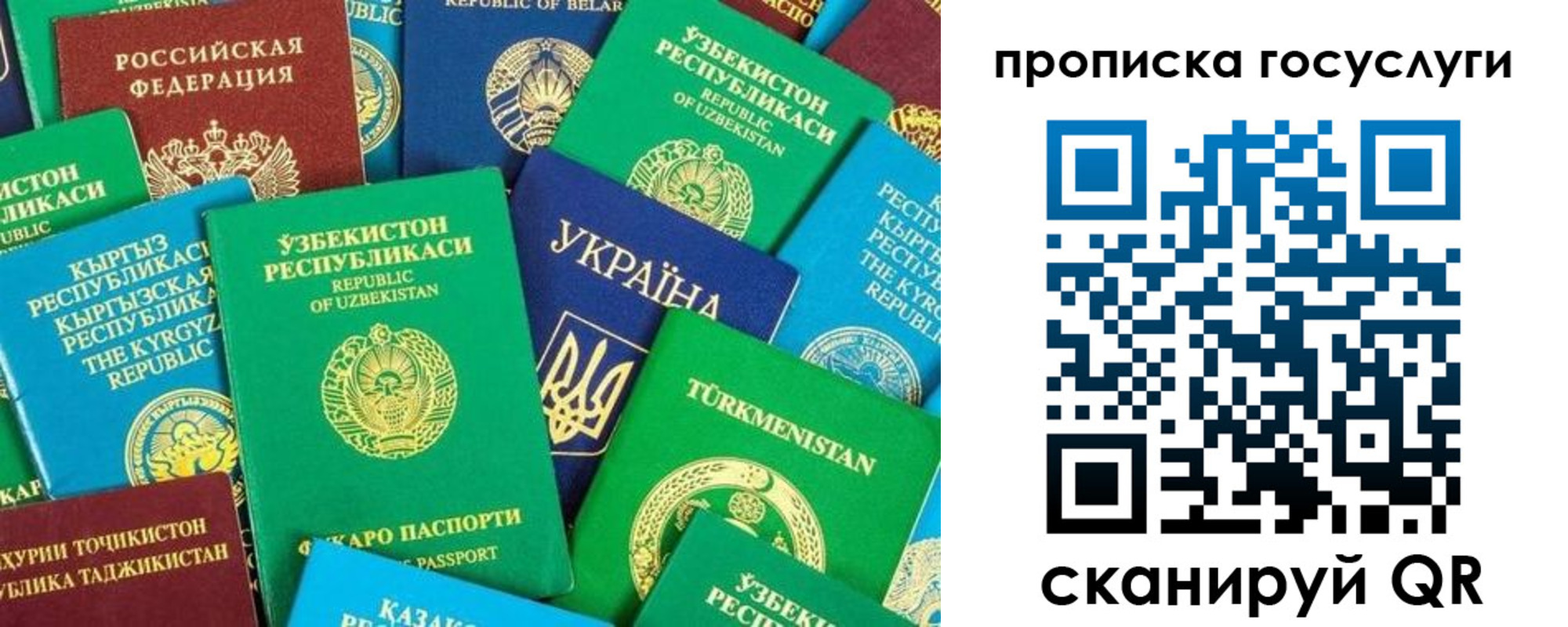 прописка в Долгопрудном