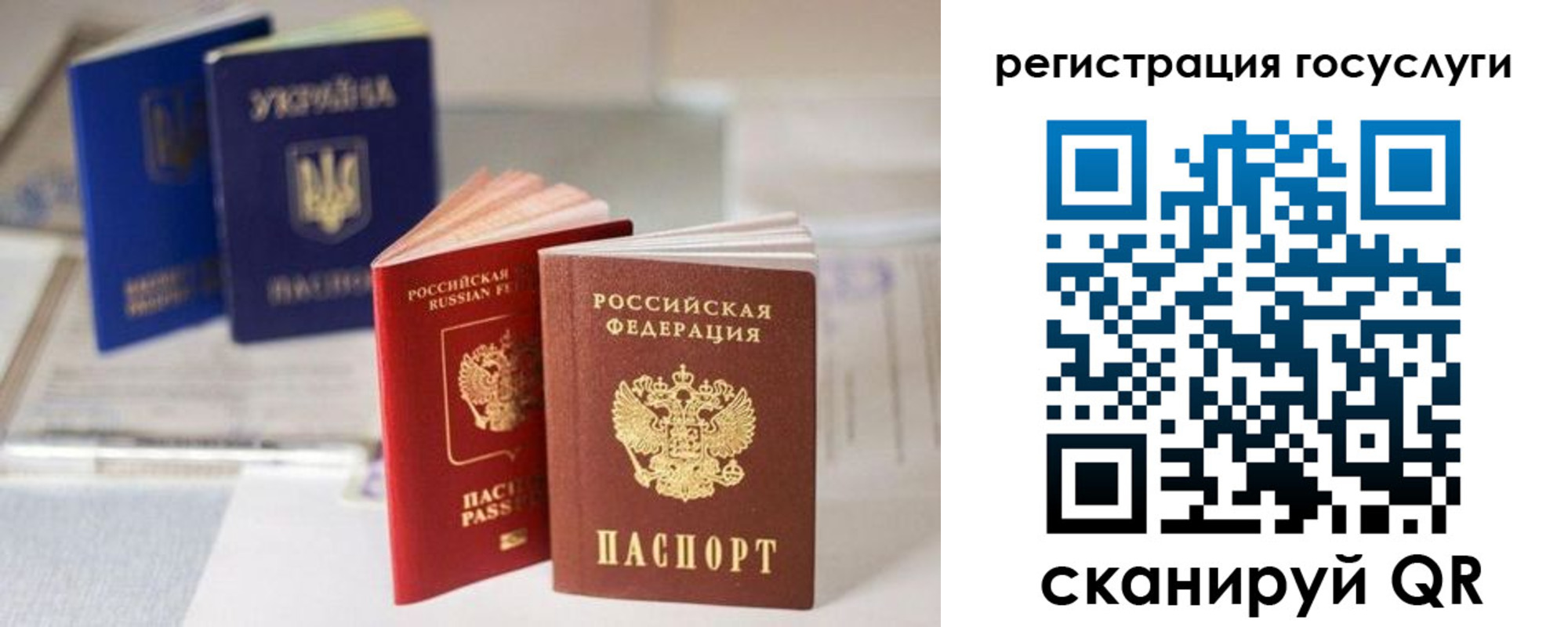 прописка 2025 в Долгопрудном